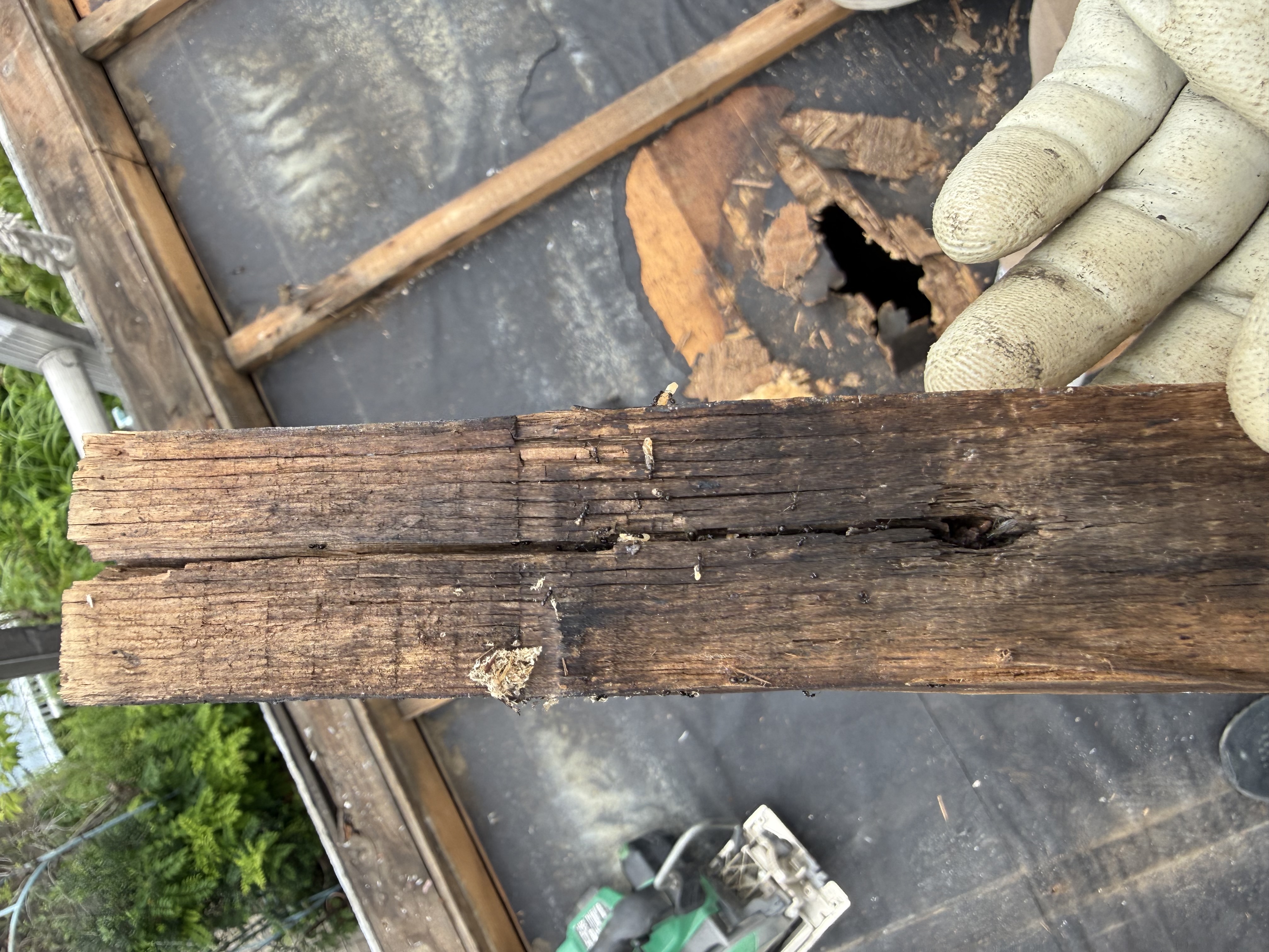 定期的なメンテナンスで建物を守る