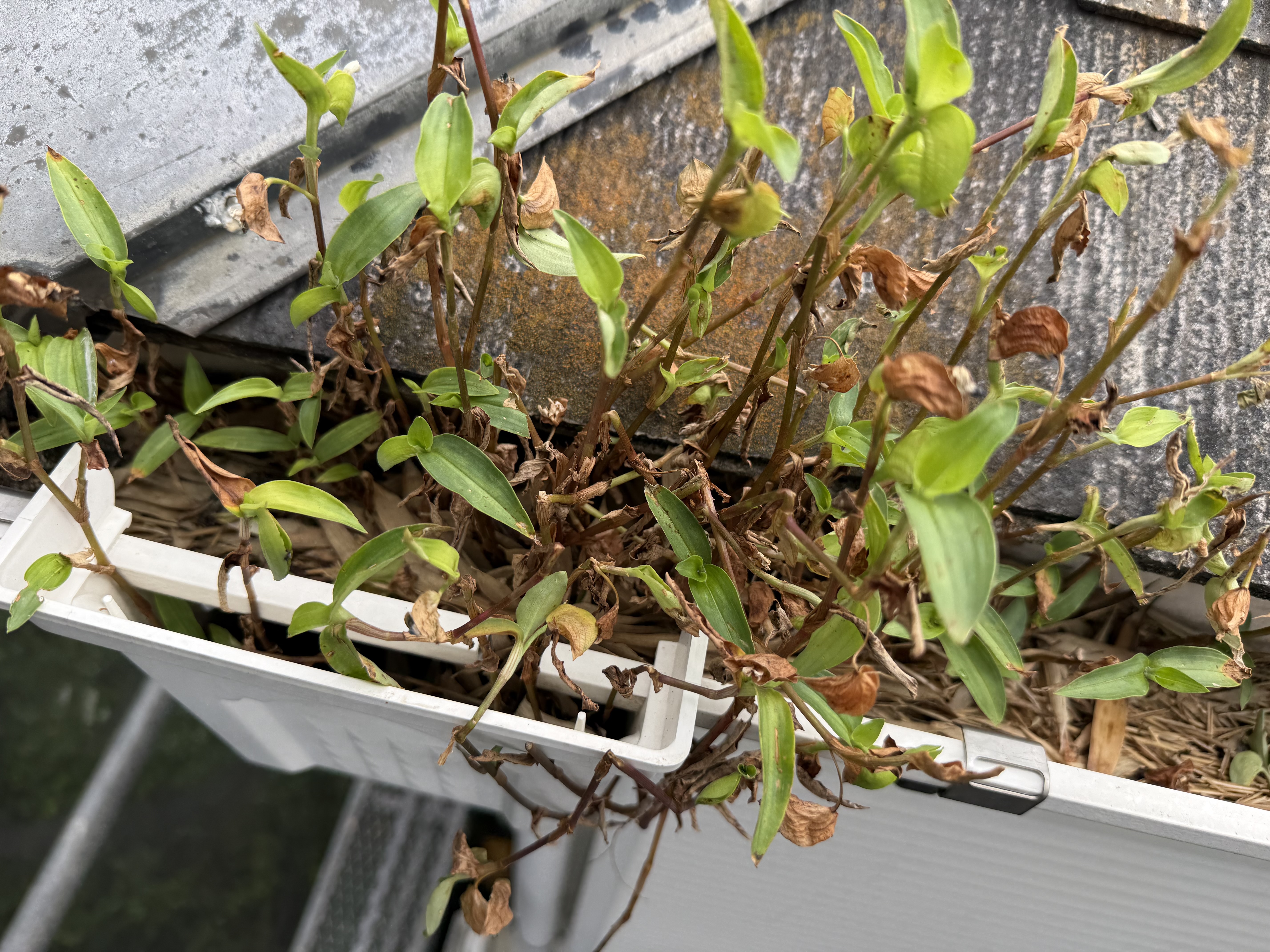 雨樋の詰まり解消！静かな雨音で快適な住環境を！